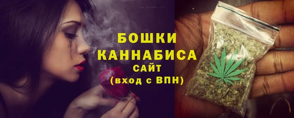 гашик Арсеньев