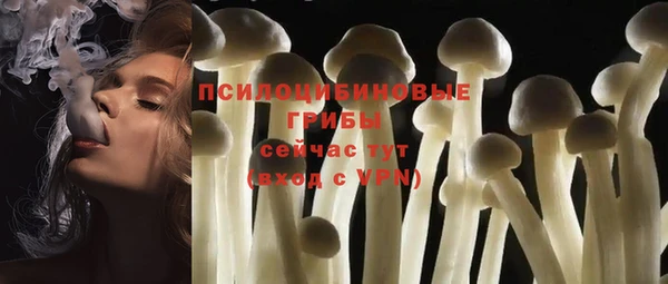гашик Арсеньев