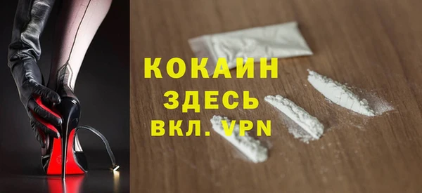 гашик Арсеньев