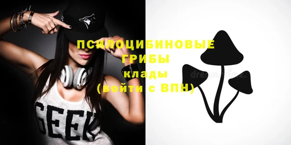 гашик Арсеньев