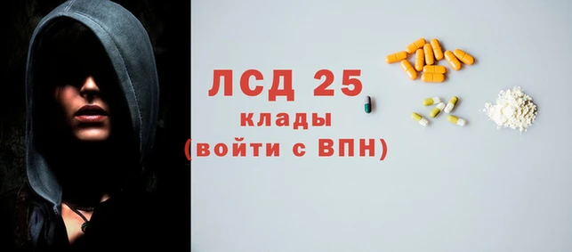 гашик Арсеньев