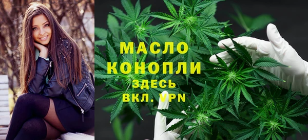 гашик Арсеньев